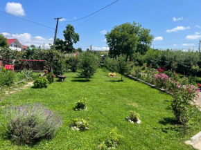Accommodation Casa Luca